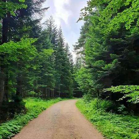 Zawoja Holiday Home 度假居 扎沃亚
