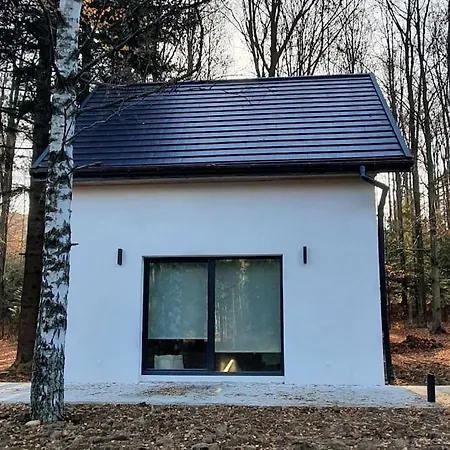Zawoja Holiday Home * 扎沃亚