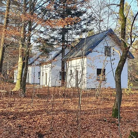Zawoja Holiday Home 度假居 *