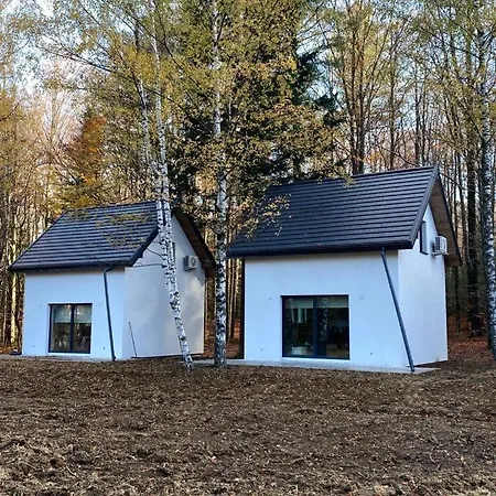 度假居 Zawoja Holiday Home