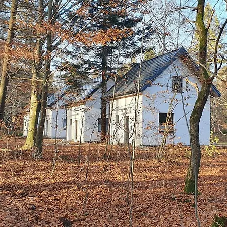 度假居 Zawoja Holiday Home *